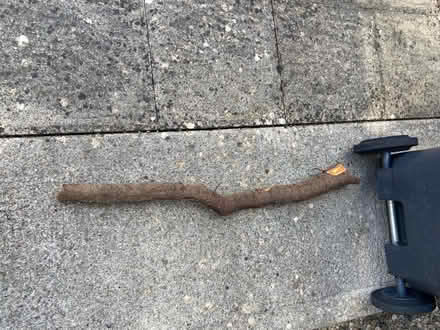 Photo of free Wood (Stanton Harcourt OX29) #2