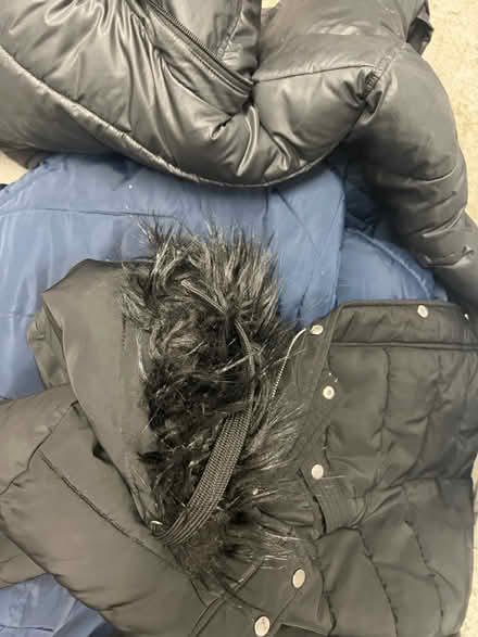 Photo of free Women Winter jackets (TW13) #1