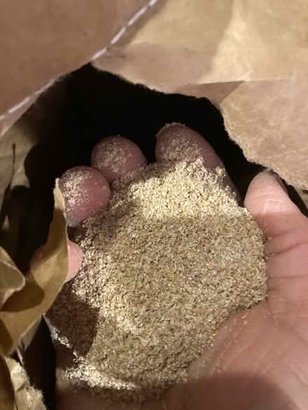 Photo of free Wheat bran (Seaside BN22) #3