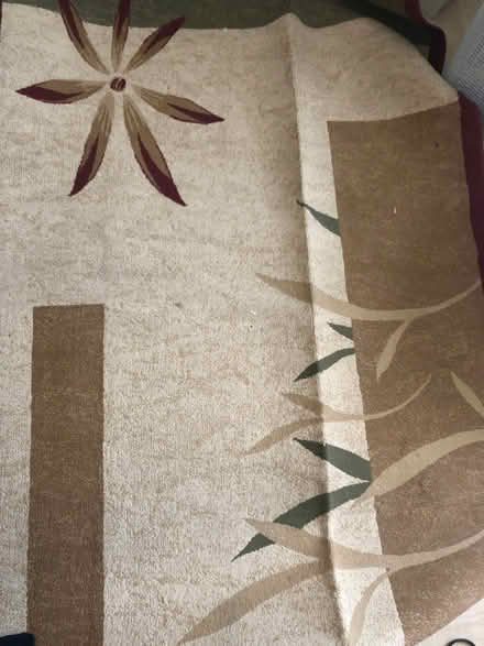 Photo of free Rug (Enfield EN1) #1