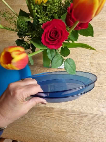 Photo of free 10 reusable picnic/party plates (Barnard's Green WR14) #1