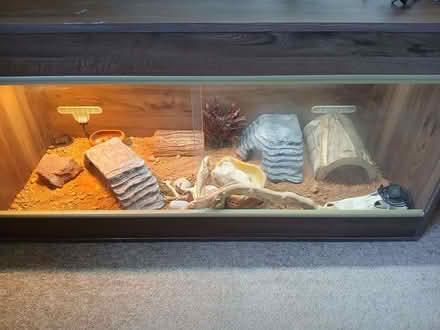 Photo of free Vivarium (Bear Flat) #1