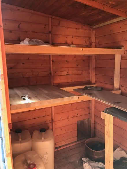 Photo of free Wooden Garden Shed (Calveley CW6) #4