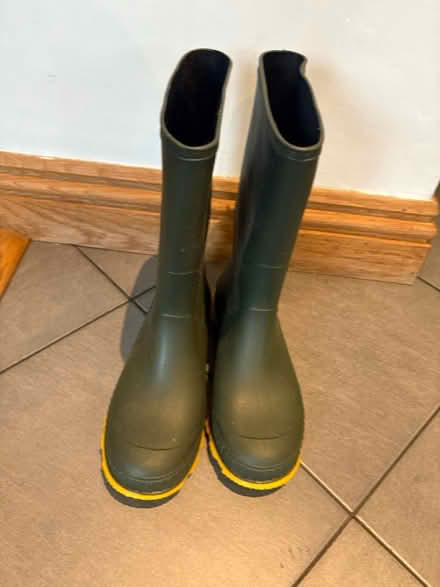 Photo of free Welly boots size 4 (Weybridge) #1