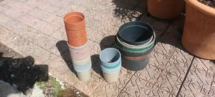 Photo of free Plant pots (Bear flat) #1