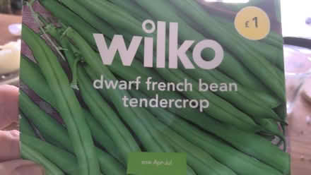 Photo of free Dwarf French bean seeds (Stockwood LU1) #1