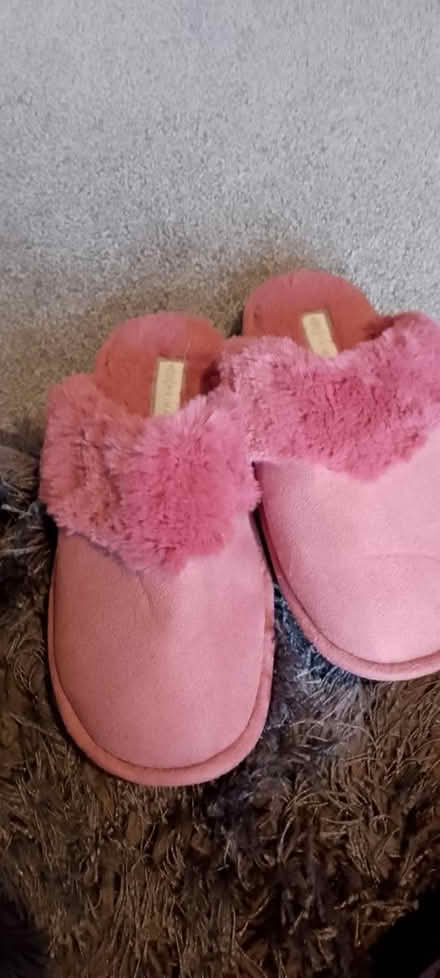 Photo of free Pink fluffy slippers (Chesser EH14) #3