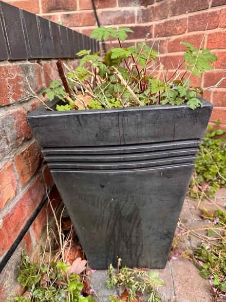 Photo of free Large outdoor plant pot (Cheadle Hulme SK8) #1
