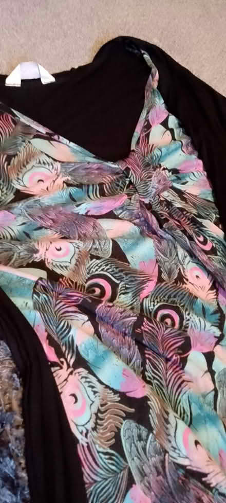 Photo of free Two in one floaty top (Chesser EH14) #4