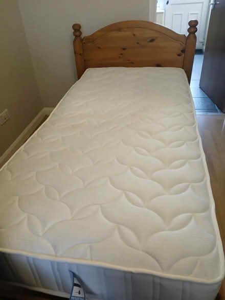 Photo of free Single pine bed (Belper DE56) #1