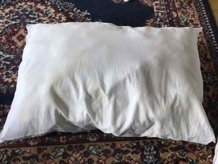 Photo of free Pillows (Roehampton SW15) #1