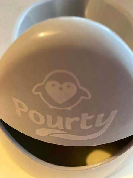 Photo of free potty (Broadwater BN14) #2