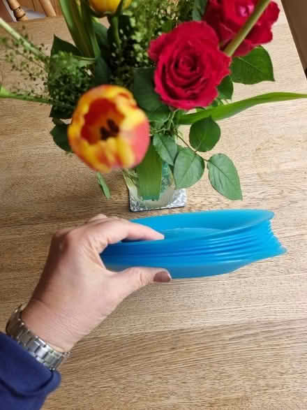 Photo of free 10 reusable picnic/party plates (Barnard's Green WR14) #3