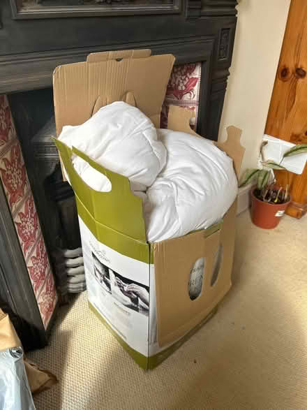 Photo of free Super king duvet (SW12 8ez) #1