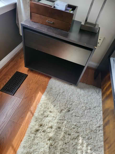 Photo of free Shag Runner (Essex, Md) #1