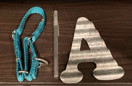 Photo of free Collar and decorative A (Fremont, Seattle) #1