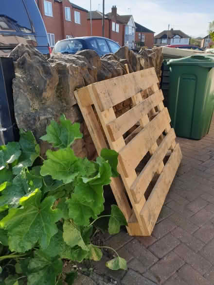 Photo of free Wooden pallet (Loughborough LE11) #2