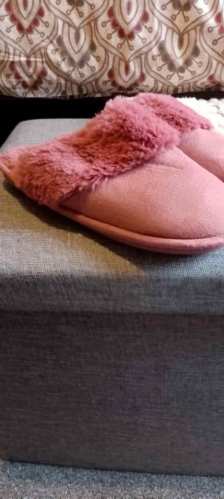 Photo of free Pink fluffy slippers (Chesser EH14) #1