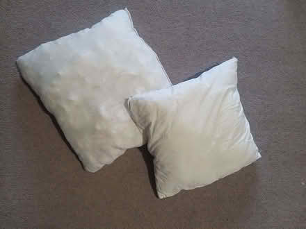 Photo of free 2 cushions without cover (Woodford IG8) #1