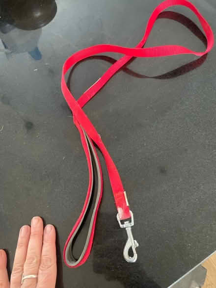 Photo of free Small dog lead (Pennhill BH14) #1