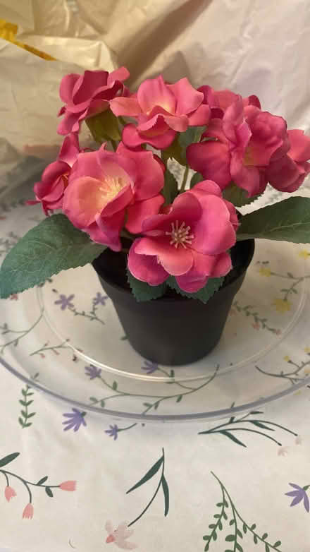 Photo of free IKEA artificial plant in pot (Southdown) #1