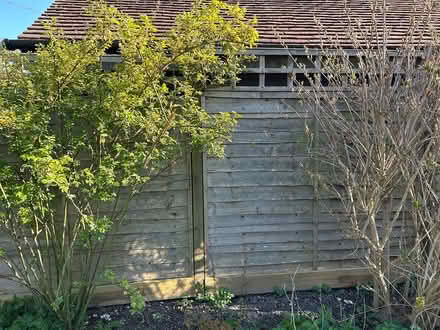 Photo of free 5ft fence panels & metal posts used (East Hagbourne, OX11) #3