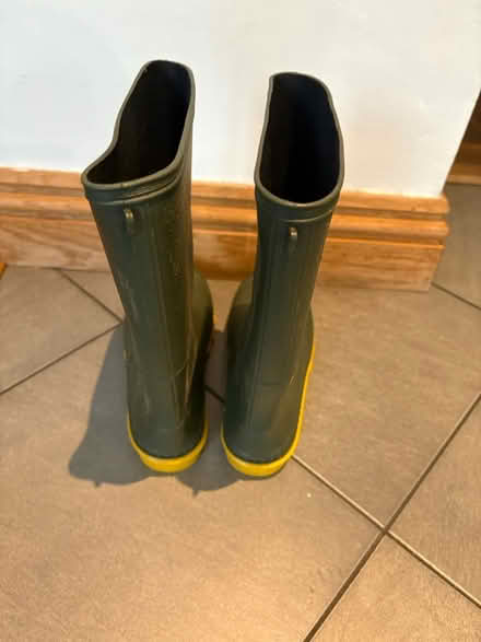 Photo of free Welly boots size 4 (Weybridge) #3