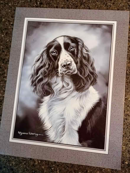 Photo of free Dog print (Prestwood HP16) #1