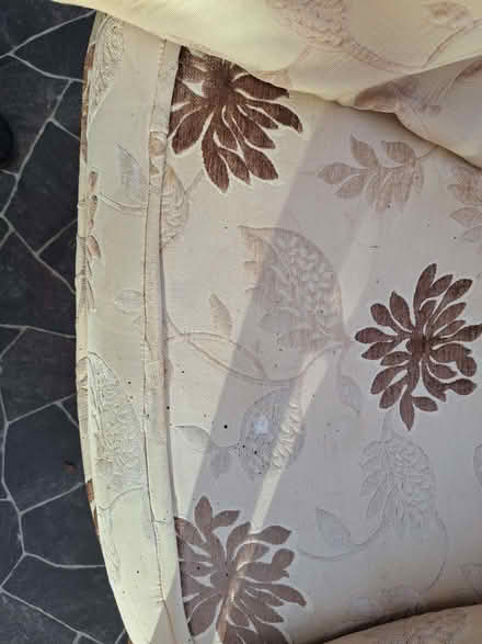 Photo of free Conservatory chairs (Wymington NN10) #2