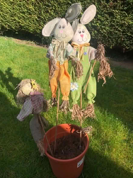 Photo of free Easter bunnies - garden ornament/decorative (Whitehill SG4) #1