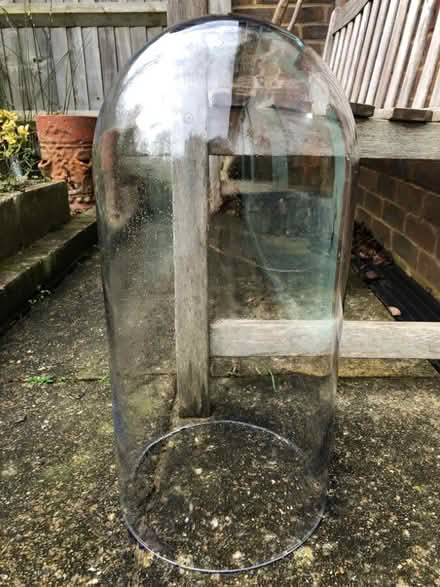 Photo of free Glass dome (Keymer BN6) #1