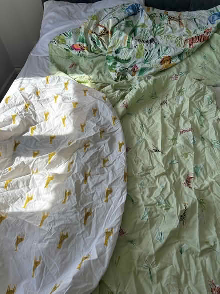 Photo of free Toddler bed bedding (Kimberworth S61) #3
