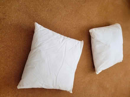 Photo of free Cushion inners 50 x50 cm (Le24fg) #1