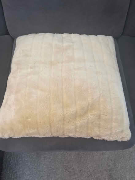 Photo of free Cushion 60cm x60cm (Battersea SW8) #1