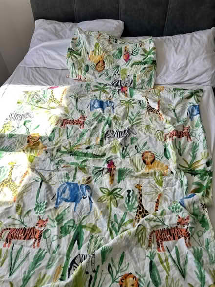Photo of free Toddler bed bedding (Kimberworth S61) #2