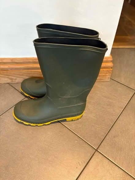 Photo of free Welly boots size 4 (Weybridge) #2