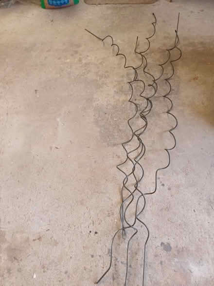 Photo of free Plant stakes (North Elmham NR20 5EU) #1