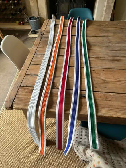 Photo of free Judo/taekwondo junior belts (Whitley, Wiltshire, SN12 8RG) #1