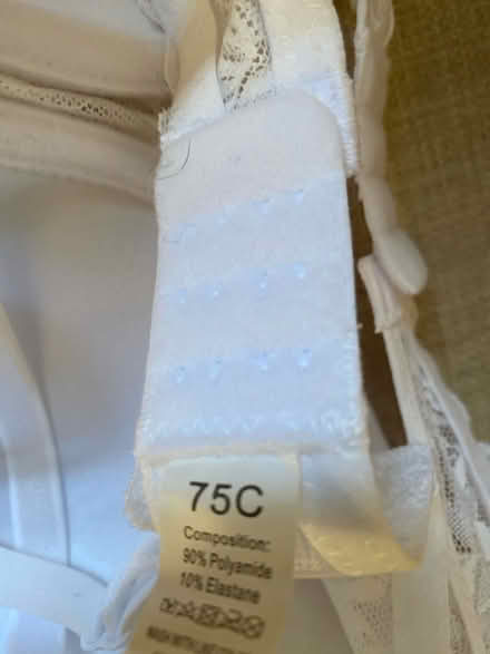Photo of free Bra (Whitemans Green RH17) #3