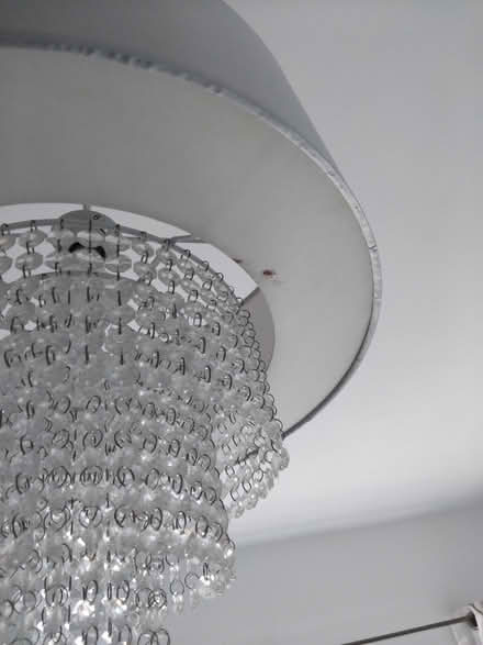 Photo of free 2 Big light shades, silver and grey (SG12) #2