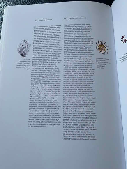 Photo of free large flora book in german (New Eltham SE9) #3