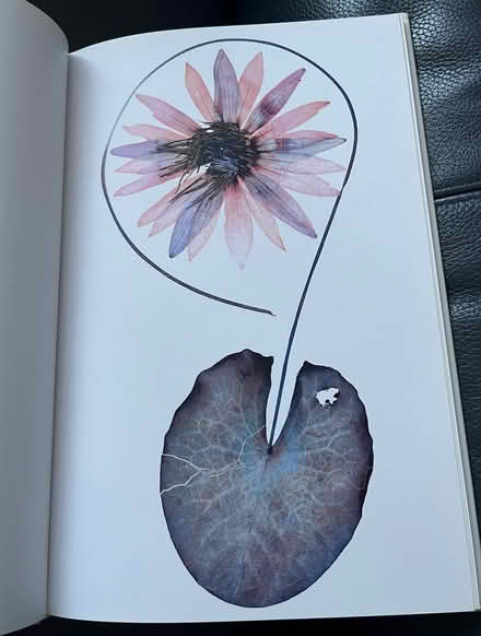 Photo of free large flora book in german (New Eltham SE9) #4