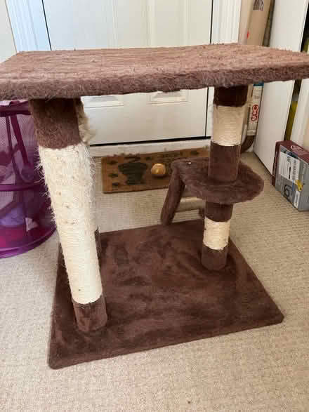 Photo of free Cat scratching post (Bushey WD23) #3
