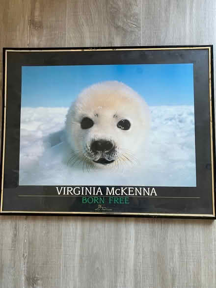 Photo of free Pictures in frames. (Downend BS16) #2