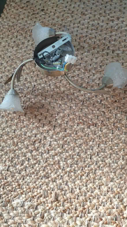 Photo of free Ceiling light (CT5) #1