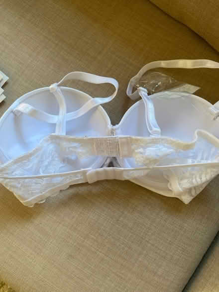 Photo of free Bra (Whitemans Green RH17) #2