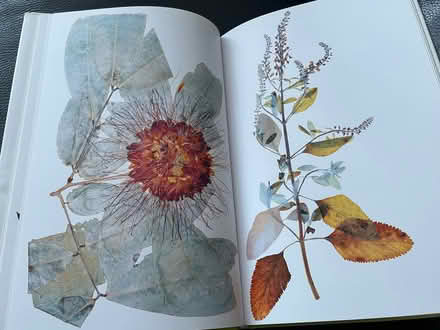 Photo of free large flora book in german (New Eltham SE9) #2