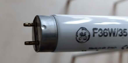 Photo of free Fluorescent Tube, 4 ft - used (Six Ways AL8) #2