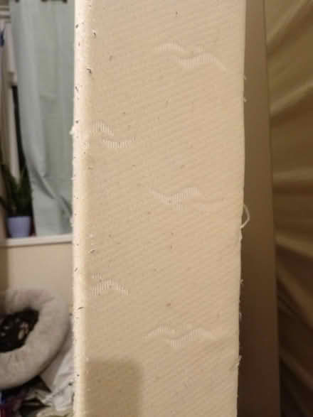 Photo of free Single mattress (SW15 Putney Vale) #2
