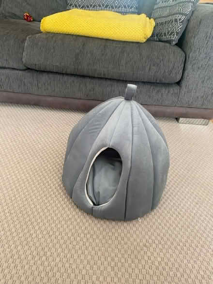 Photo of free Cat dome/tent (Hemel Hempstead HP2) #1
